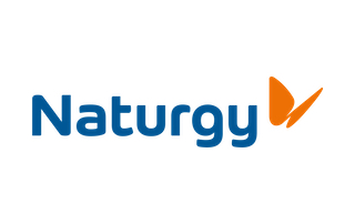 Logo naturgy